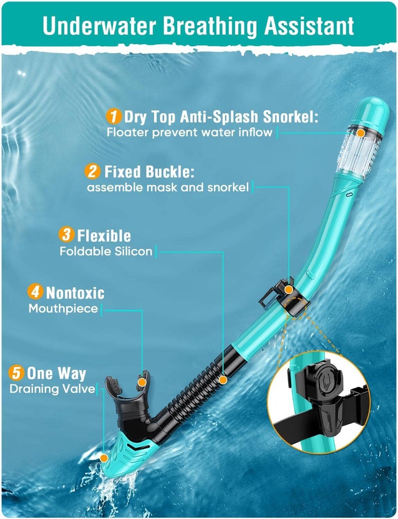 Seovediary Snorkel Set Adults Snorkeling Gear Anti-Fog Panoramic View Swim Mask Dry Top Snorkel Kit with Carry Bag for Snorkeling Scuba Diving Swimming Travel - Image 4